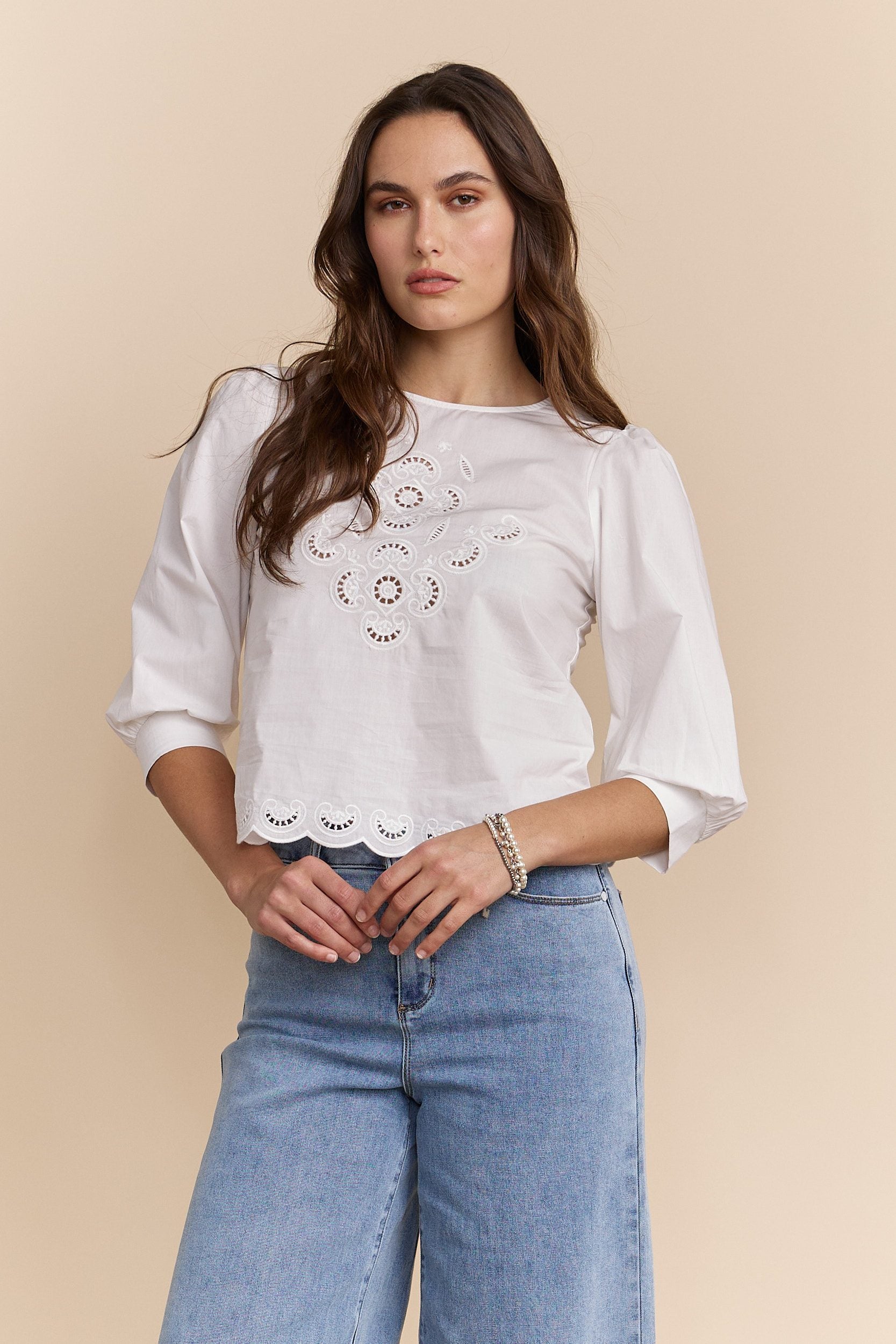 Puffy sleeve blouse with embroidery