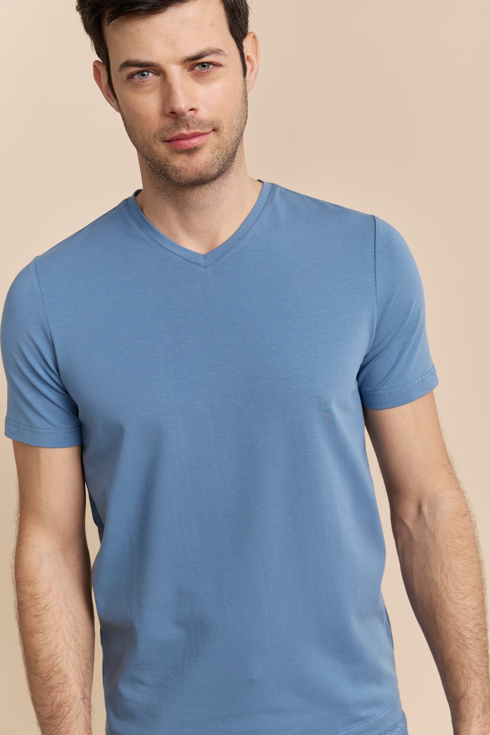 Basic V neck T-shirt