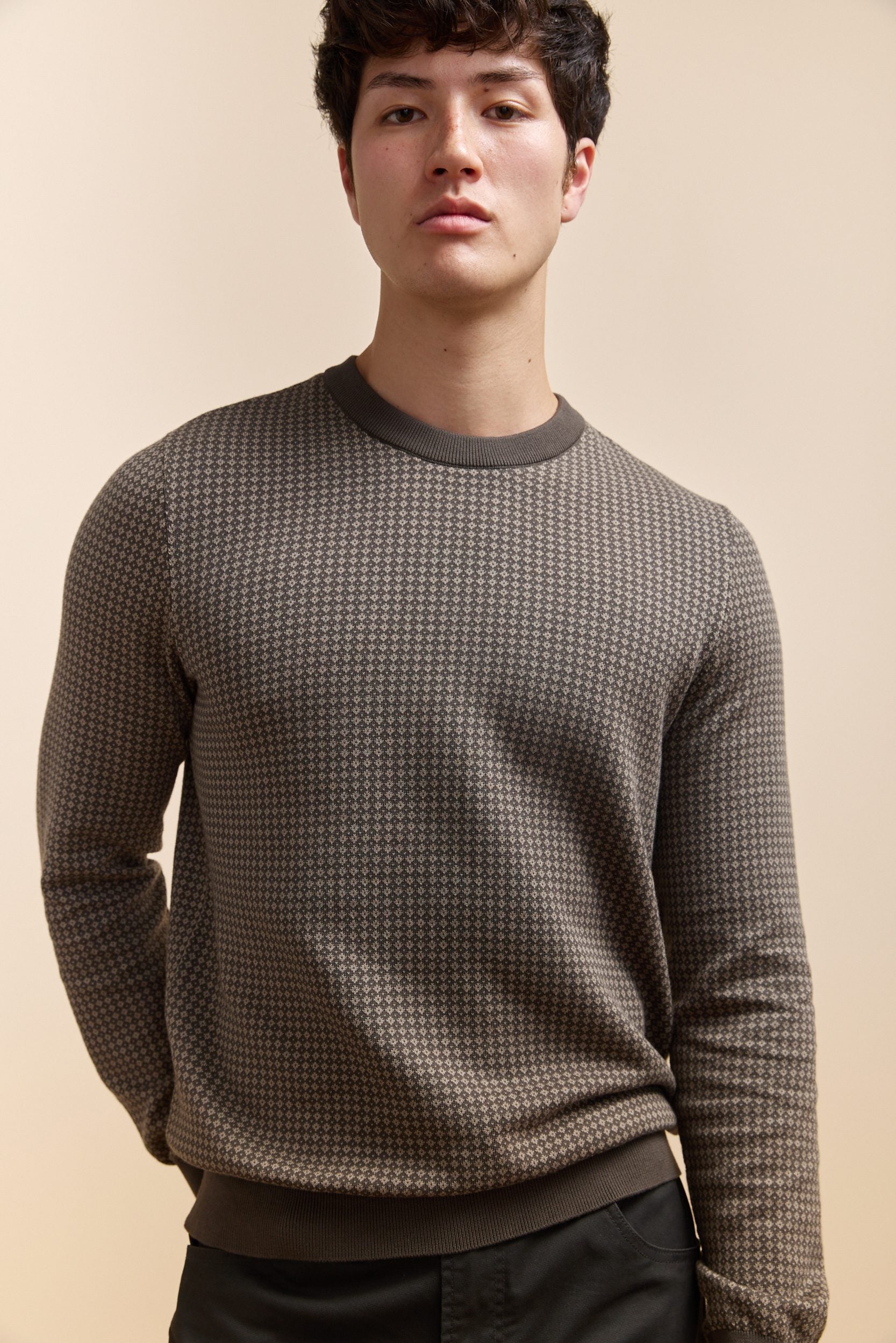 Jacquard crew neck sweater